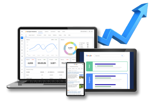 Search Engine Optimization